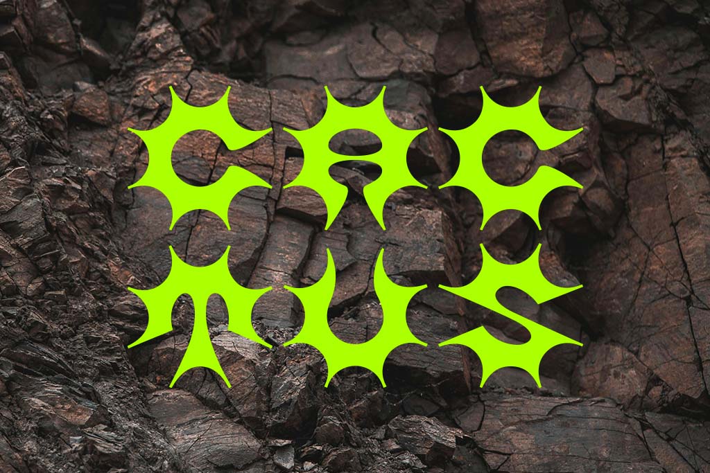 Cactus su rocce - lettering e progettazione di caratteri tipografici