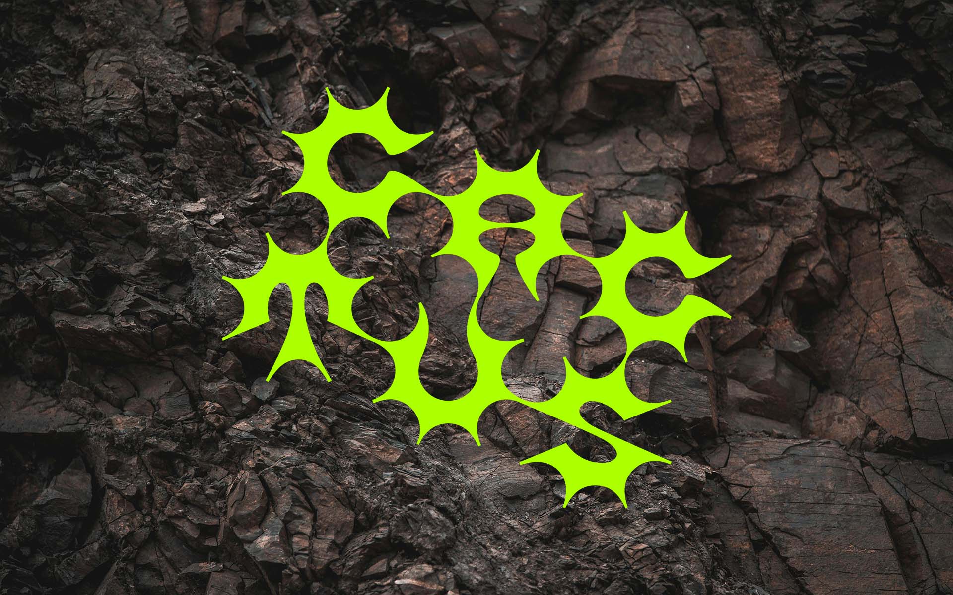 Cactus su rocce - lettering e progettazione di caratteri tipografici