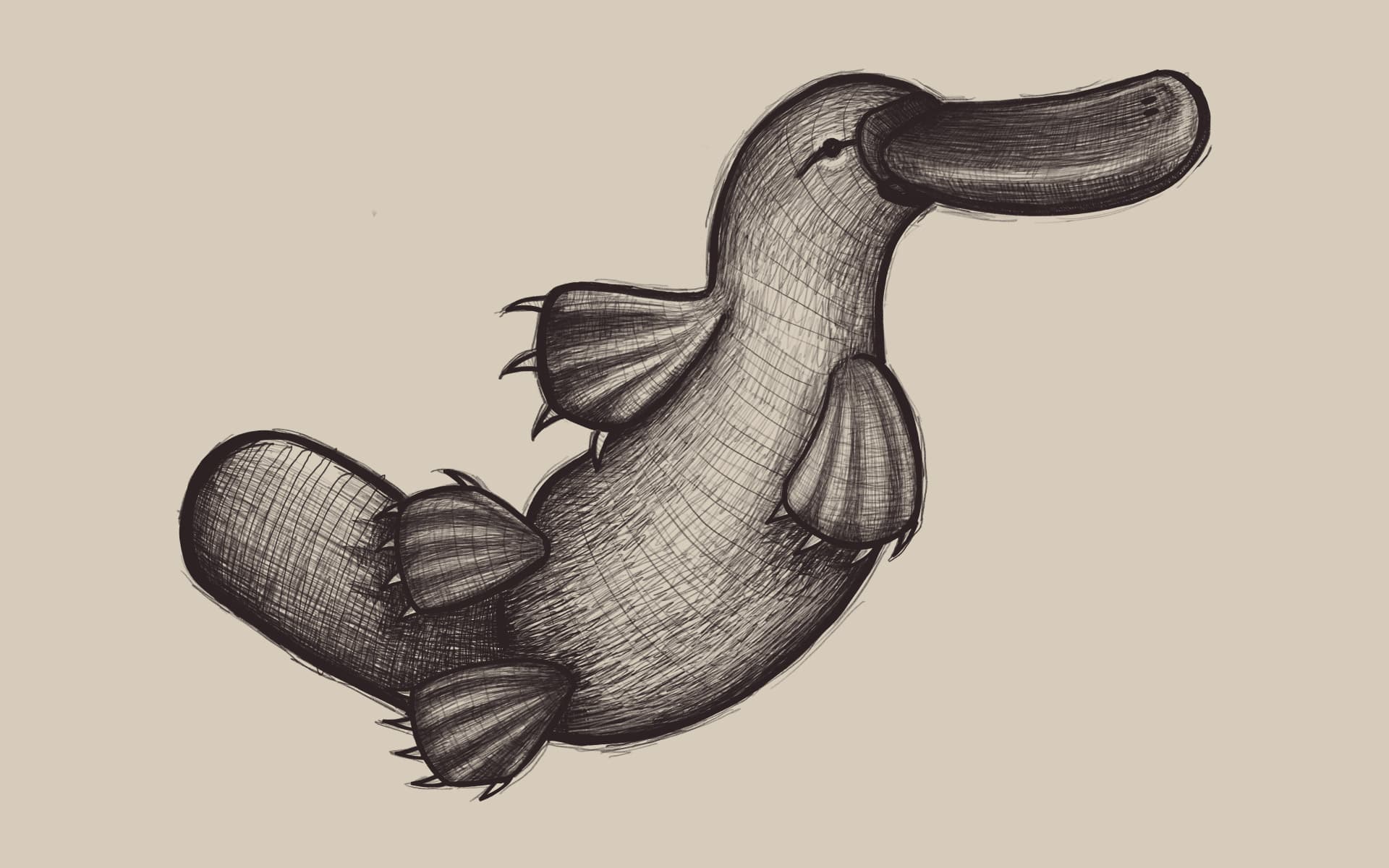 Illustrazione ornitorinco